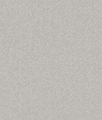 ���� Brewster Evolution 5 BWE05502