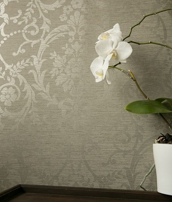 ���� Hohenberger Epic 63558