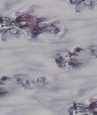 ���� Mayflower  Solaris FJ090100