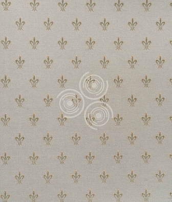 ���� ProSpero Olimpia OL1208