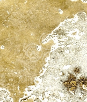 ���� Arlin Lava GB2