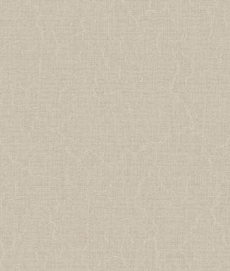 ���� Brewster Evolution 4 BWE04509