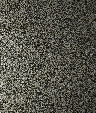  1838 Wallcoverings Elodie 1907-141-06