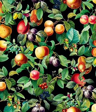 ���� Marburg Gloockler Pompoos Provence 35634