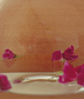 ���� Elitis Soie VP 620 55