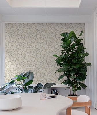 ���� Grandeco Icon IC 3001