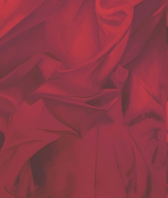 ���� Mayflower  Aerial fj110216