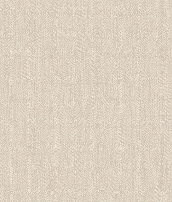 ���� Brewster Evolution 5 BWE05608