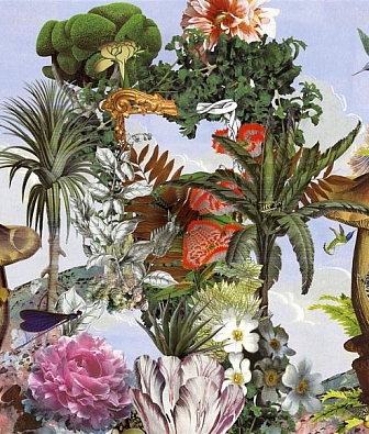 ���� Designers Guild Scenes and Murals PCL7022-01