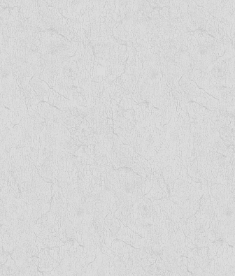 ���� Brewster Evolution 7 BWE071912