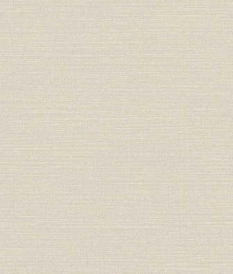  Trendsetter Roy RY0401