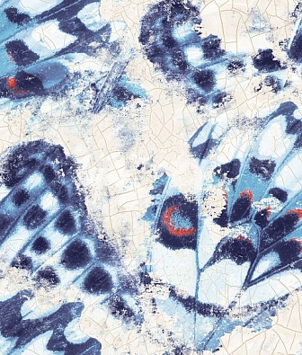 ���� Mayflower  Aerial fj020205