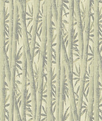 ���� Loymina Amazonia Ins7 005/2