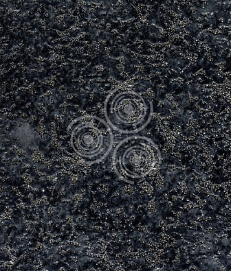 ���� Arlin Lava MB6