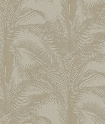 ���� Brewster Evolution 3 BWE03301