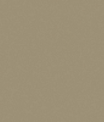  ProSpero Raw Elegance 343-345706