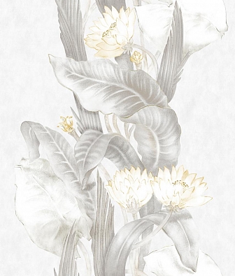  Coordonne Maasai YSP0224