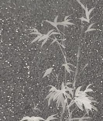 ���� Marburg Crush Motion 63481