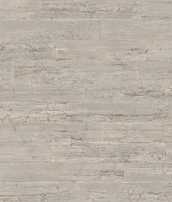 ���� Rasch Curiosity 537024