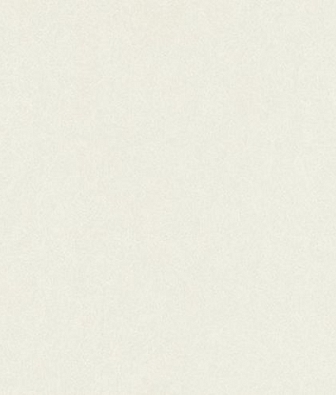 ���� KT-Exclusive Swatch FX91000