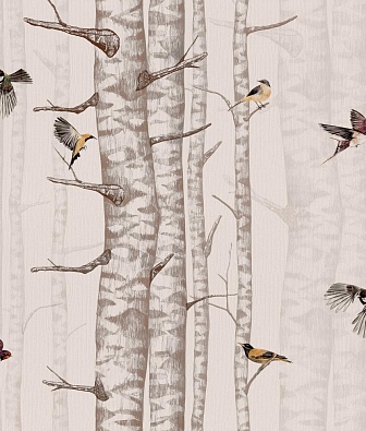 ���� Coordonne Naturae 9500043N