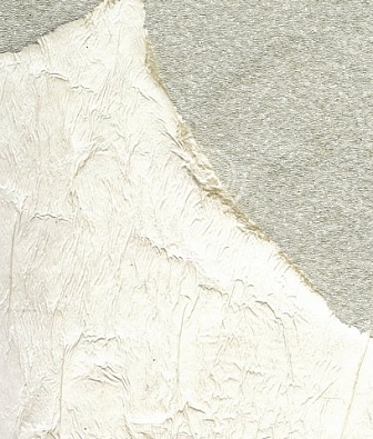 ���� Arlin Lava VB1