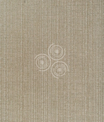 ���� ProSpero Olimpia OL1708