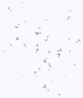 ���� Marburg Trace 97796