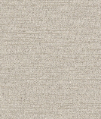 ���� Brewster Evolution 2 BWE02427