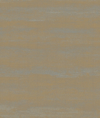 ���� Brewster Evolution 5 BWE05205