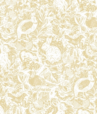 ���� Aura Equinox FD25727