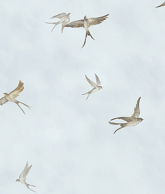 ���� Marburg Essentiell 34789