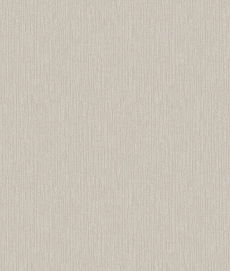 ���� Brewster Evolution 4 BWE04529