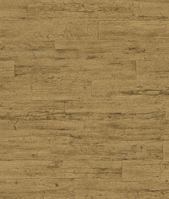 ���� Rasch Curiosity 537079