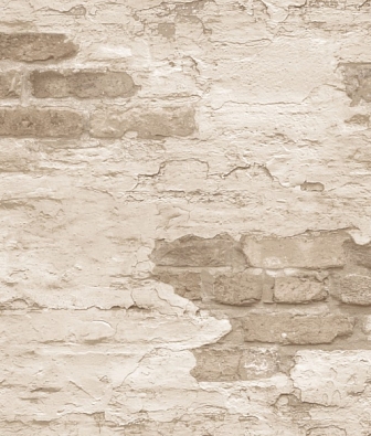 ���� Aura Grunge G45355