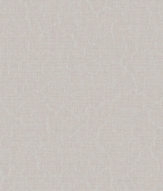 ���� Brewster Evolution 4 BWE04528