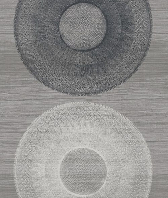 ���� Carl Robinson Edition 14 CR60400