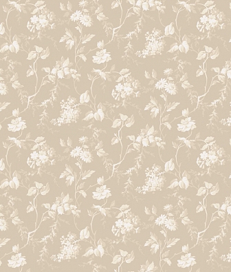  Alpine Walls Aurora IMP14 002