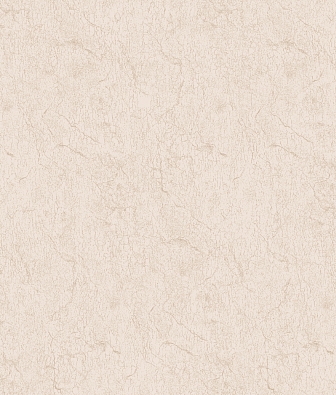 ���� Brewster Evolution 7 BWE071907