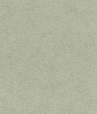  Rasch Natural Colors 408171