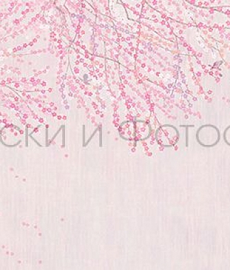  Affresco  ID136151