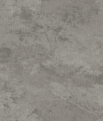 ���� Brewster Evolution 3 BWE03501