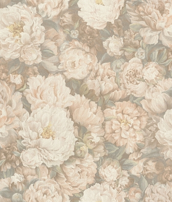 ���� Rasch Riva 972405