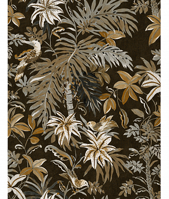 ���� Brewster New Creator 5 CBY122