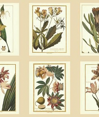 ���� York Ashford House Toiles 2 AF1932