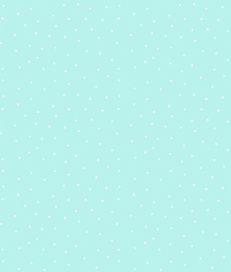  Aura Pippo 459-1