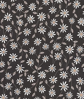 ���� Caselio Essentiel 103121099