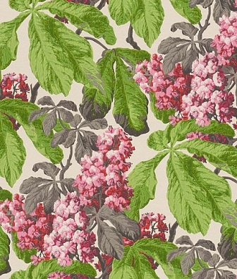 ���� Aquarelle Cassata 256528