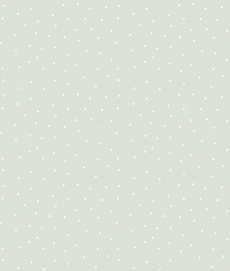  Aura Pippo 459-3
