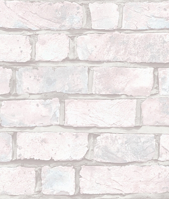 ���� Mayflower  Transition 31701